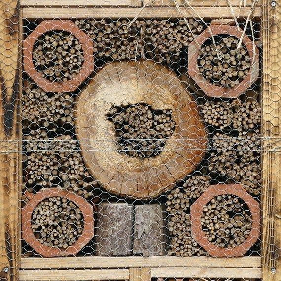 Insektenhaus auf der LGS Wangen, Schülerarbeit einer Berufsschulklasse, 2024 Insektenhaus auf der LGS Wangen, 2024