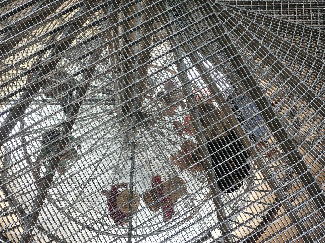 Landesgartenschau Baden-Württemberg 2024, Wangen im Allgäu, der Aussichtsturm, Edelstahltreppen... Landesgartenschau Baden-Württemberg 2024, Wangen im Allgäu, der Aussichtsturm, Edelstahltreppen...