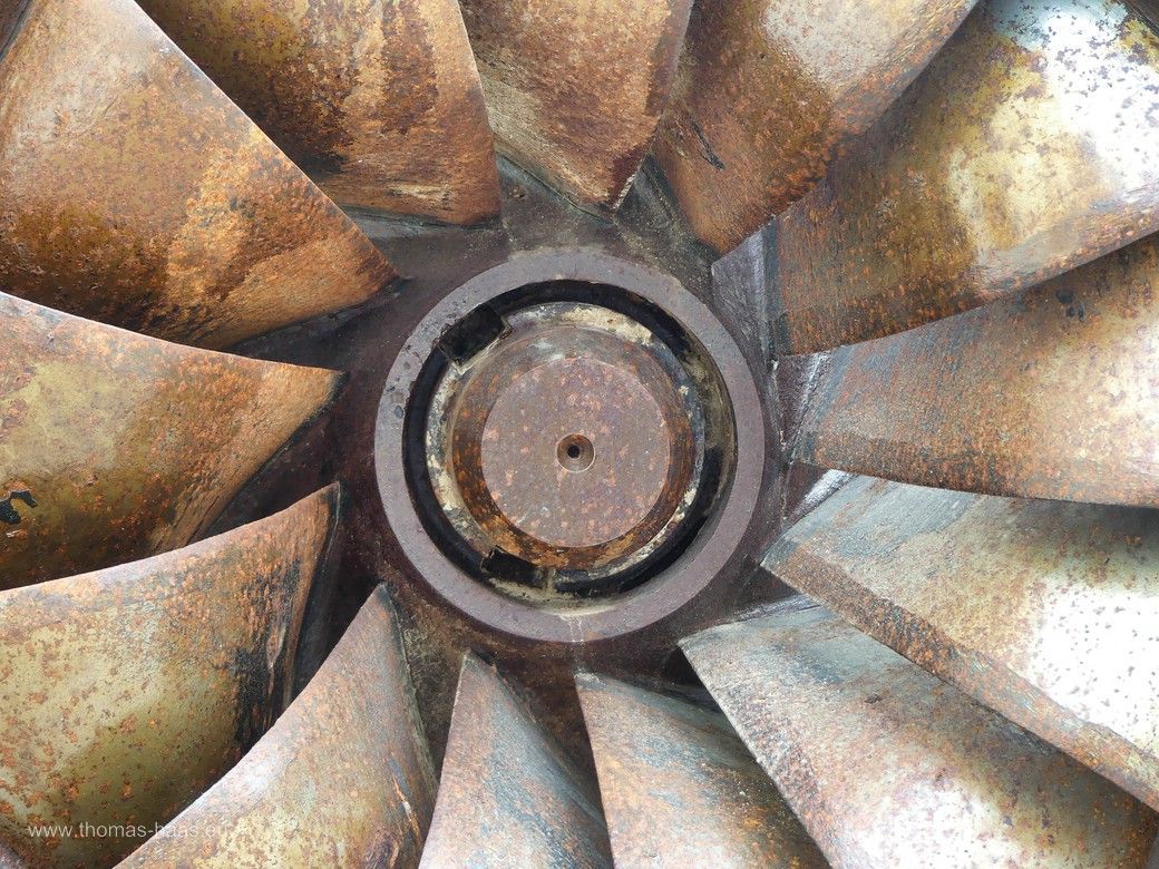 Über App und weiterer Recherche bin ich auf die hochgiftige Pflanze „Weißer Germer“, Veratrum album, als Namen gekommen. Juni 2024 Eine alte Turbine... - Detail.
Diese steht vor dem ERBA-Museum in Wangen, Juli 2024