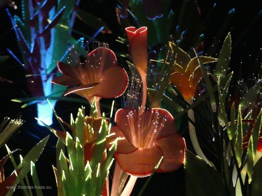 Joana Vasconcelos mit „Le Château des Valkyries“ - ein florales Motiv, Schloss Gottorf, 2024 Joana Vasconcelos mit „Le Château des Valkyries“ - ein florales Motiv, Schloss Gottorf, 2024