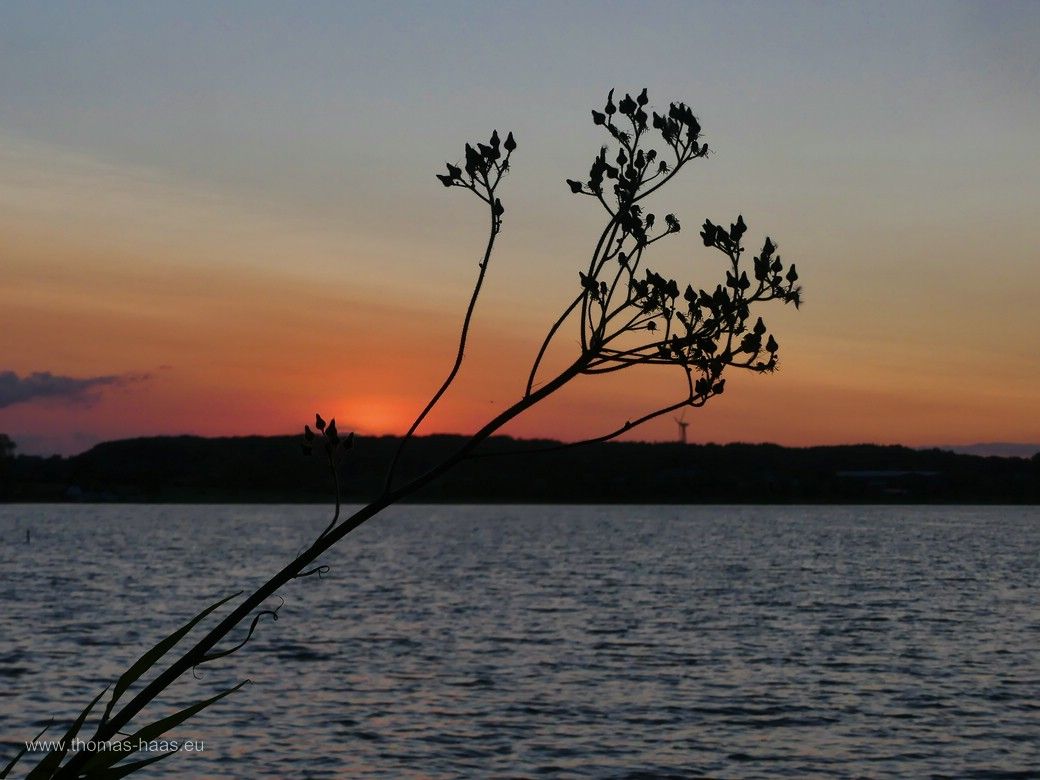 Sonnenuntergang an der Schlei, Alternativmotiv, Juli 2024