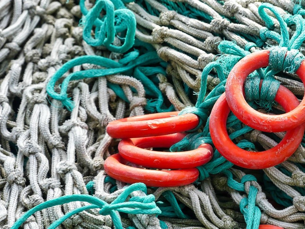 Netze, Taue, Fanggerät - Hafen Kappeln, Juli 2024 Netze, Taue, Fanggerät - Hafen Kappeln, Juli 2024