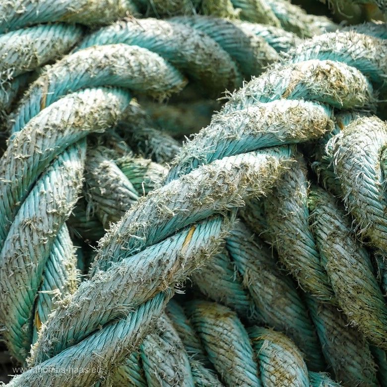 Taue im Fischereihafen Kappeln...