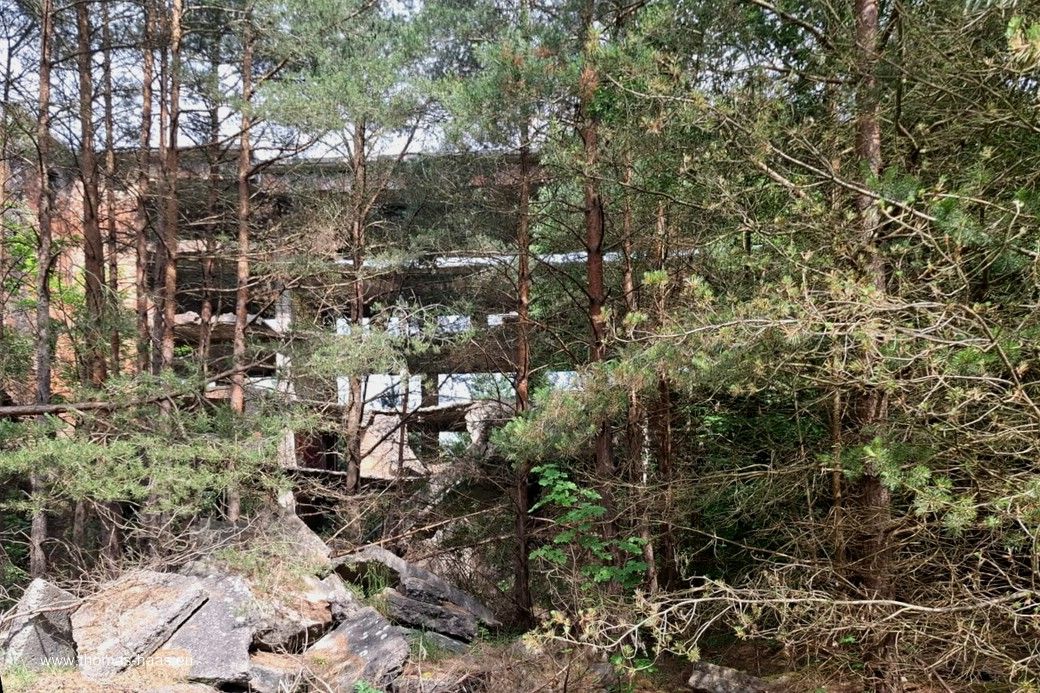 Die Ruinen von Prora durch das Unterholz, © by Wolfgang Geiger, 2025 Die Ruinen von Prora durch das Unterholz, © by Wolfgang Geiger, 2025