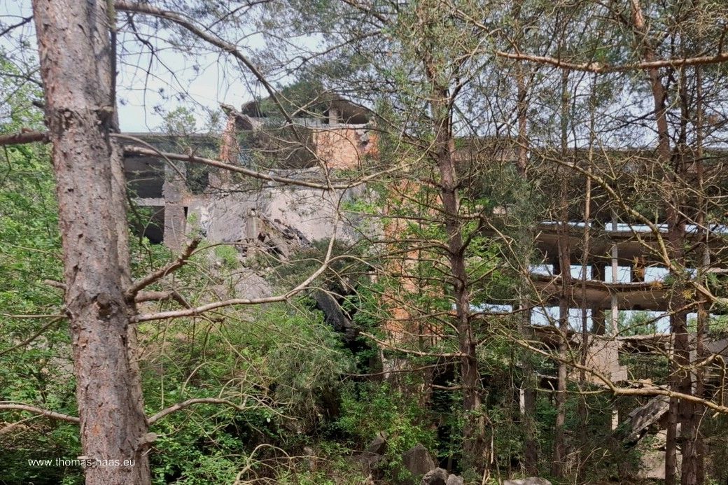 Die Ruinen von Prora durch das Unterholz, © by Wolfgang Geiger, 2025 Die Ruinen von Prora durch das Unterholz, © by Wolfgang Geiger, 2025