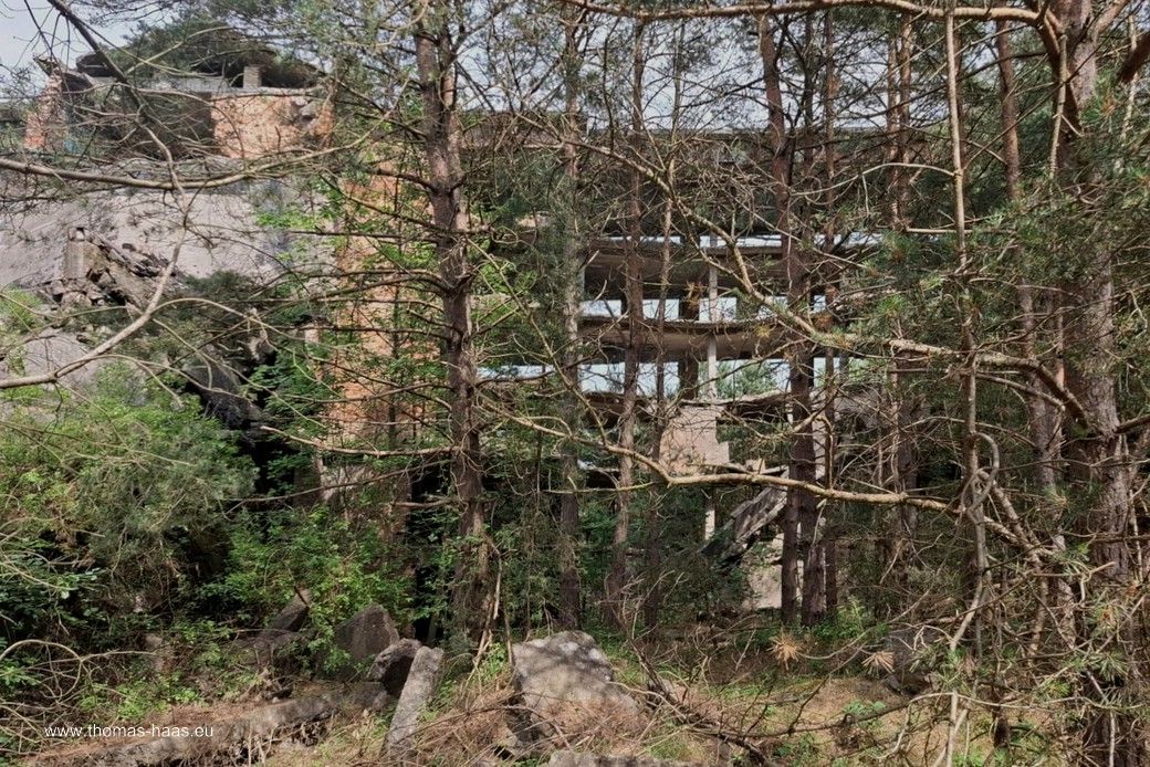 Prora - Gigantismus der Nazi-Zeit. Blick durch das Unterholz, ein Beitrag von Wolfgang Geiger, 2025 Prora - Gigantismus der Nazi-Zeit. Ein Beitrag von Wolfgang Geiger, 2025