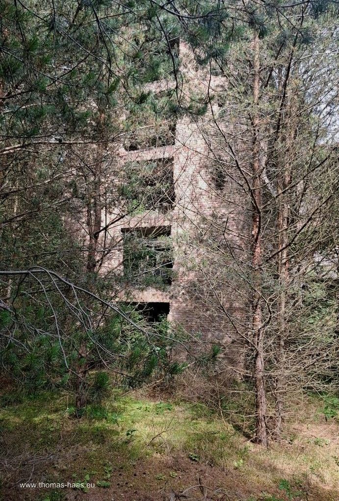 Die Ruinen von Prora durch das Unterholz, © by Wolfgang Geiger, 2025 Die Ruinen von Prora durch das Unterholz, © by Wolfgang Geiger, 2025