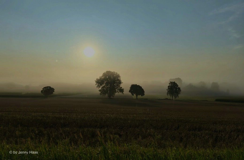 Das Bild des Monats, September 2025: Frühherbst bei Illertissen, entstanden am, 06.08.2025 © by Jenny Haas Das Bild des Monats, September 2025:
Frühherbst bei Illertissen, entstanden am, 06.08.2025 © by Jenny Haas