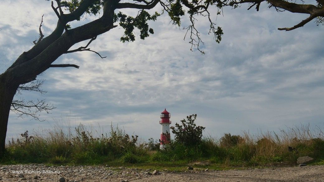 Der Leuchtturm Falshöft aus der Froschperspektive, August 2025 Der Leuchtturm Falshöft aus der Froschperspektive, August 2025