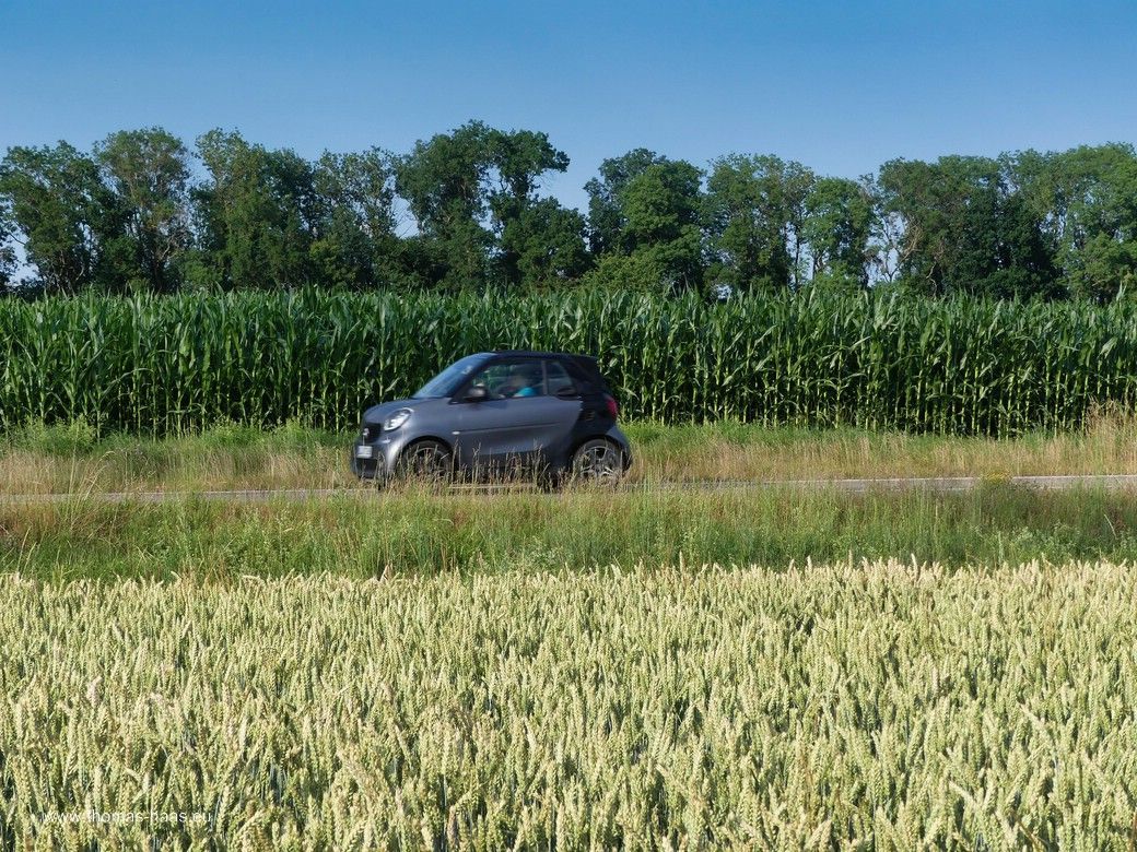 Smart auf der Landstraße zwischen Feldern... Smart auf der Landstraße zwischen Feldern...