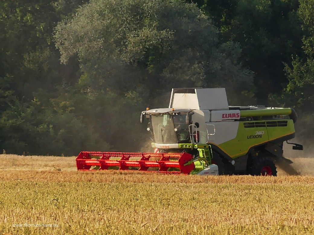 Ein kleiner LEXION mit bis zu 7,50 m im Ernteeinsatz - der größte Bruder schafft bis zu 12 m in der Schnittbreite... Ein kleiner LEXION mit bis zu 7,50 m im Ernteeinsatz - der größte Bruder schafft bis zu 12 m in der Schnittbreite...