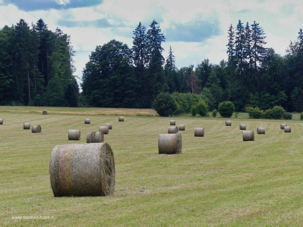 Erntezeit, Heuballen auf der Wiese, 2025 Erntezeit, Heuballen auf der Wiese, 2025