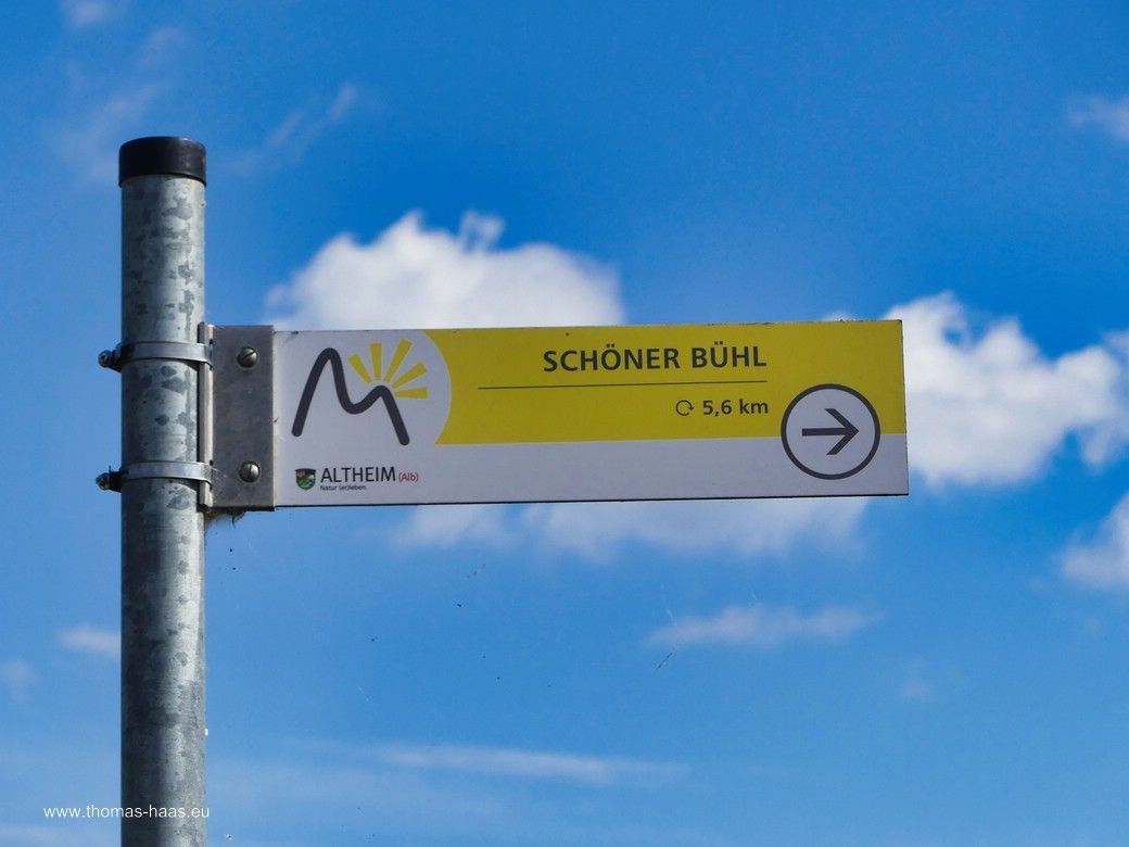 Der Wanderweg führt direkt an der Eiche vorbei... „Schöner Bühl“ - der Wanderweg führt direkt an der Eiche vorbei...