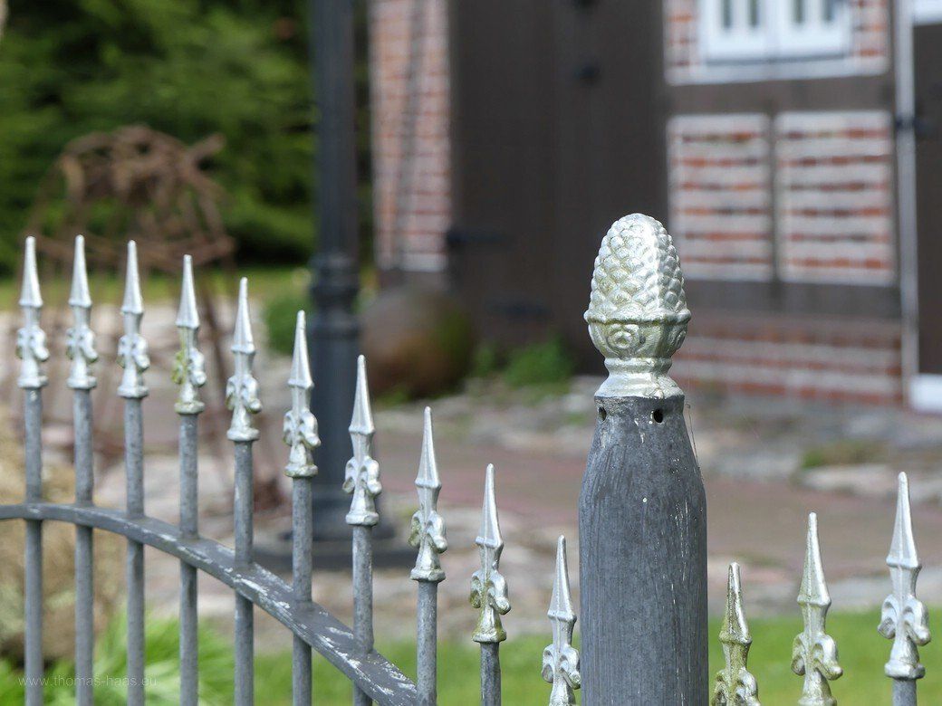 ...ohne die störende Leine!