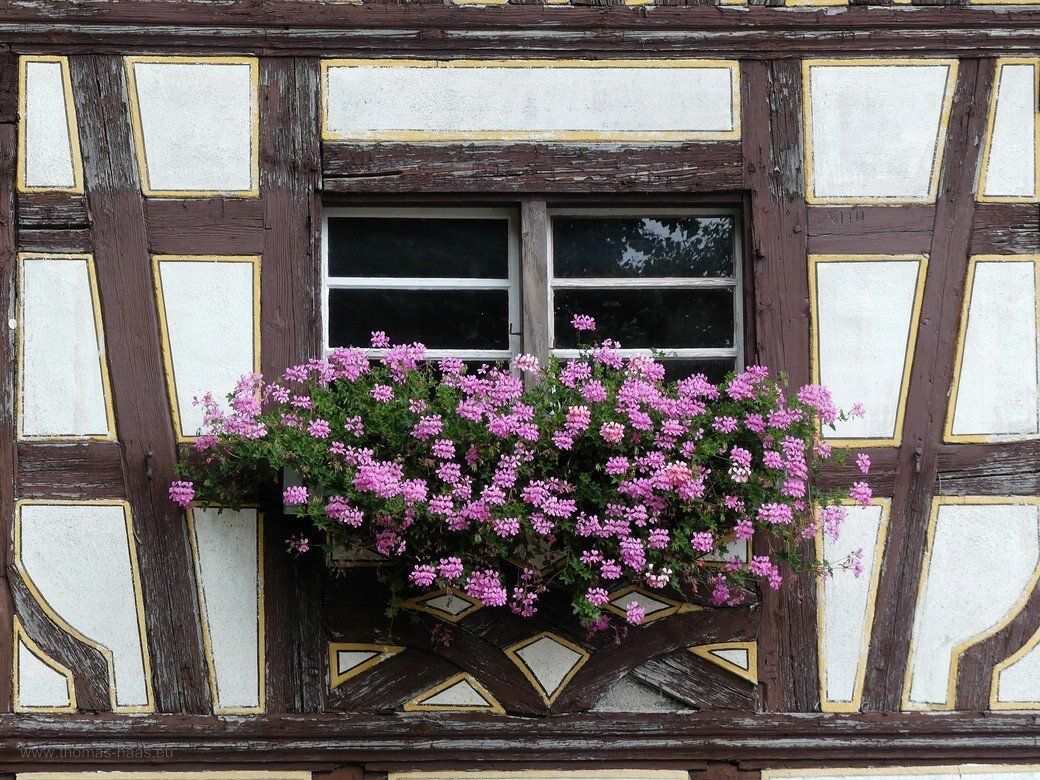 Morbider Charme im Bauernhofmuseum, 2021 Morbider Charme im Bauernhofmuseum, 2021