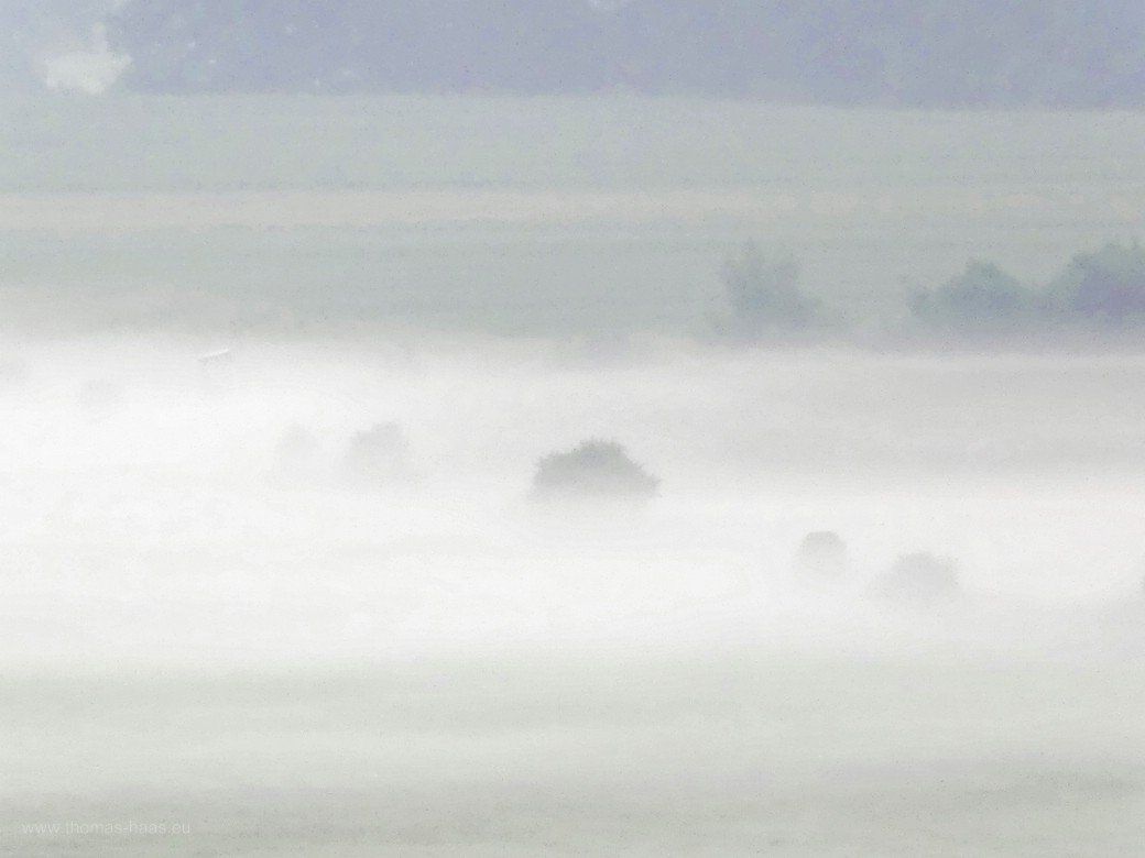Frühnebel im August 2021 Frühnebel im August 2021