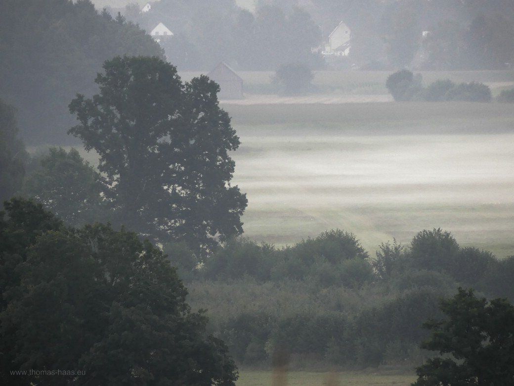 Frühnebel im August 2021 Frühnebel im August 2021