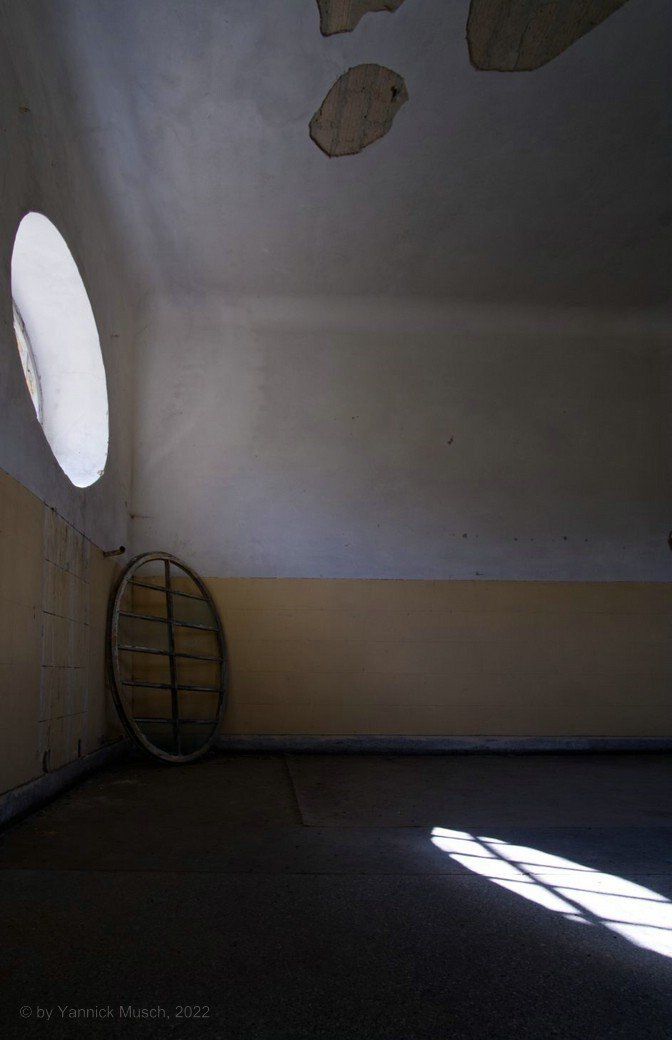 Auch hier ist ein Ochsenauge zu sehen, © by Yannick Musch Auch hier ist ein Ochsenauge zu sehen, © by Yannick Musch