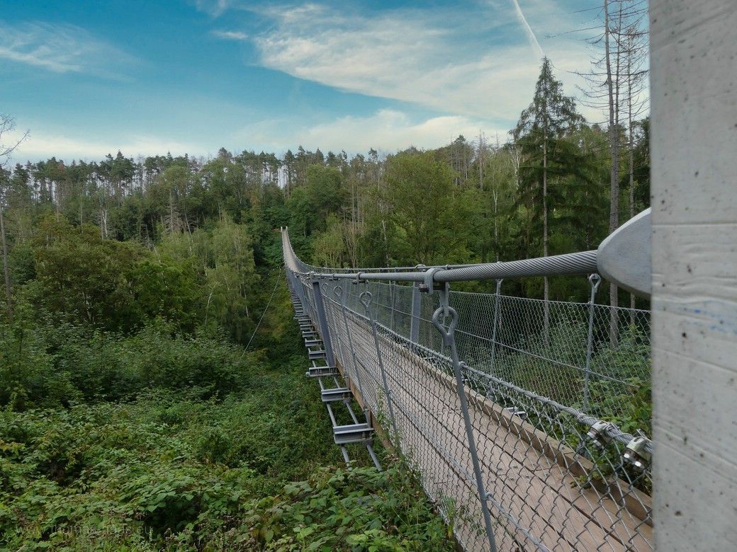 Die Hängeseilbrücke über das Bärental an der Hohen Schrecke, Thüringen, 2023 Die Hängeseilbrücke über das Bärental, Komplettansicht, 2023