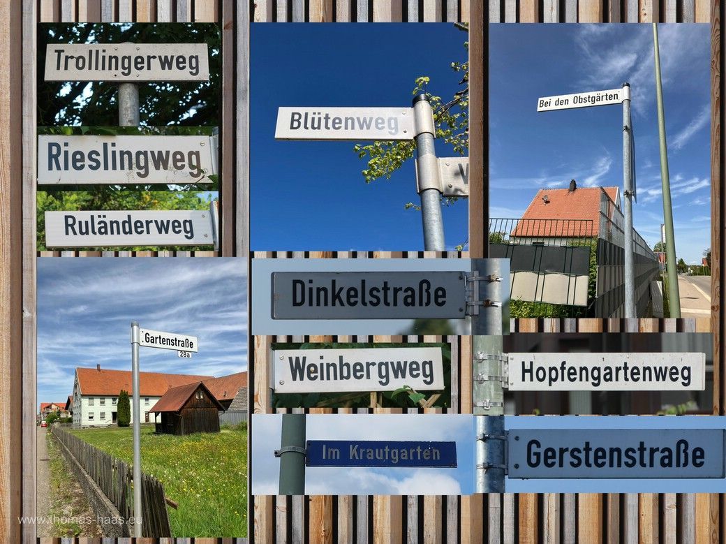 Erntedank-Collage: Straßenschilder mit Erntebezug, 2024 © by Thomas Haas, Bellenberg Erntedank-Collage: Straßenschilder mit Erntebezug, 2024 © by Thomas Haas, Bellenberg