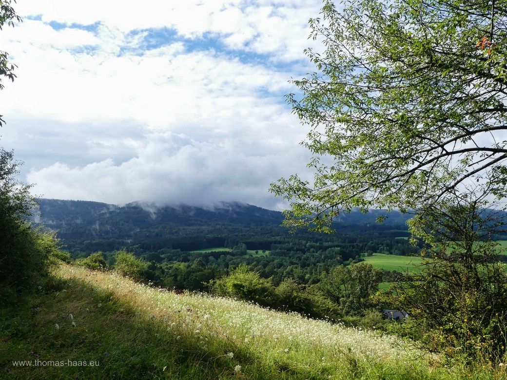 Der Albtrauf ist noch vernebelt, wir wandern über die Wiesen... Der Albtrauf ist noch vernebelt, wir wandern über die Wiesen...