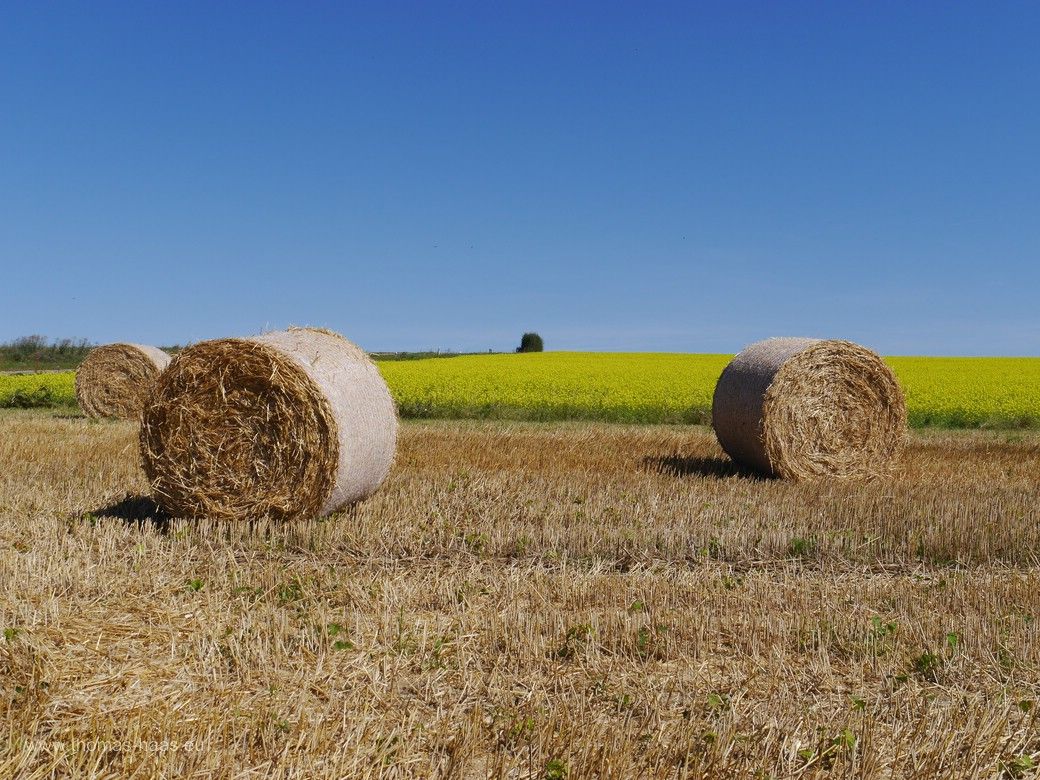 Nach der Ernte - Schwäbische Alb, Juli 2024 Nach der Ernte - Schwäbische Alb, Juli 2024 - Strohballen