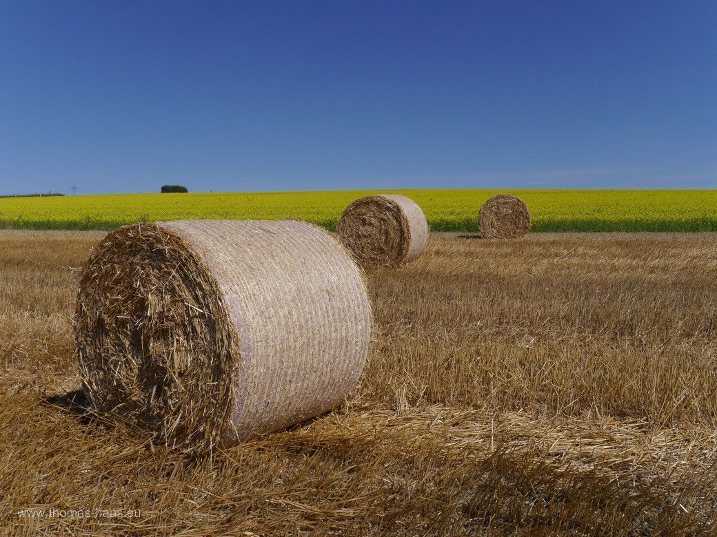 Nach der Ernte - Schwäbische Alb, Juli 2024 Nach der Ernte - Schwäbische Alb, Juli 2024 - Strohballen...