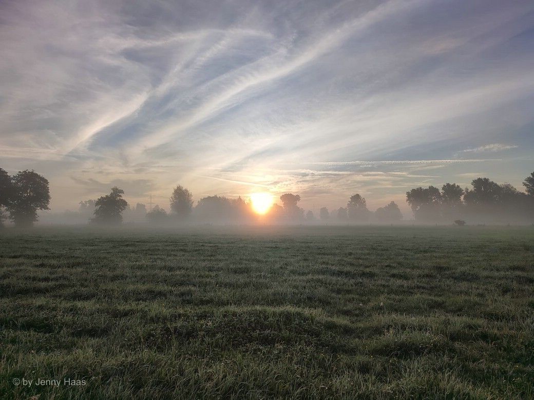 Sonnenaufgang mit Frühnebel, © by Jenny Haas Sonnenaufgang mit Frühnebel, © by Jenny Haas
