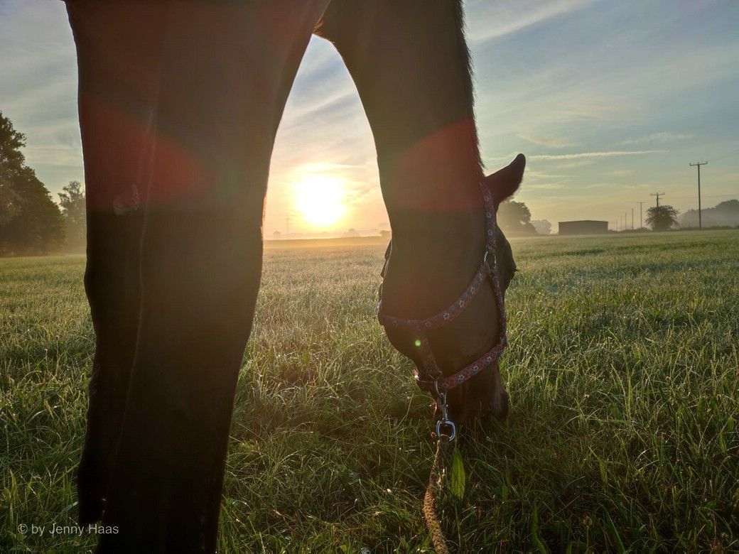 Petty beim Frühstück - © by Jenny Haas, 2024 Petty beim Frühstück - © by Jenny Haas, 2024