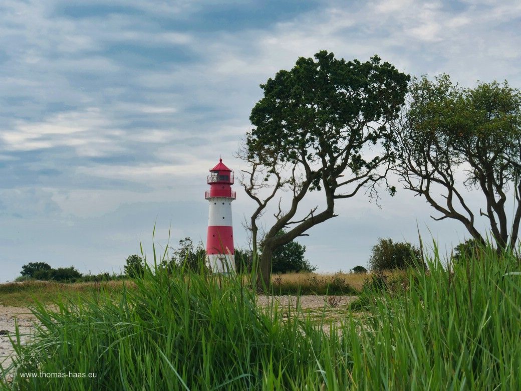 Tag 2 - Dienstag: Der Leuchtturm Falshöft aus der Froschperspektive... Tag 2 - Dienstag: Der Leuchtturm Falshöft aus der Froschperspektive...