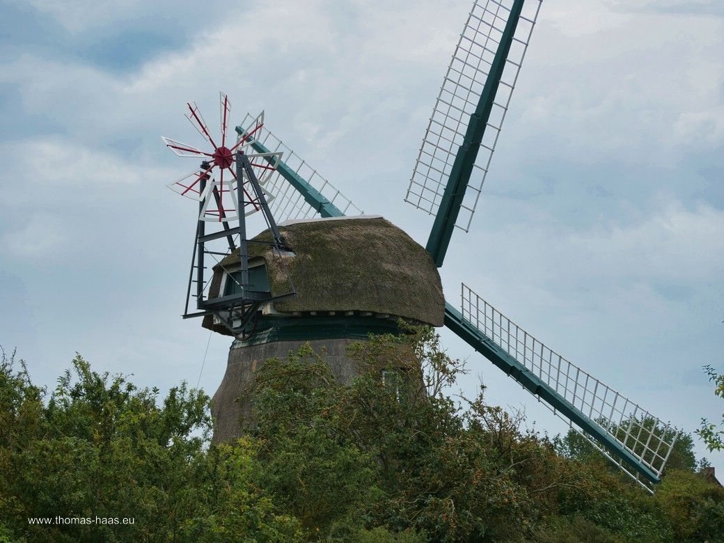 Tag 2: In der Geltinger Birk... Tag 2: In der Geltinger Birk...