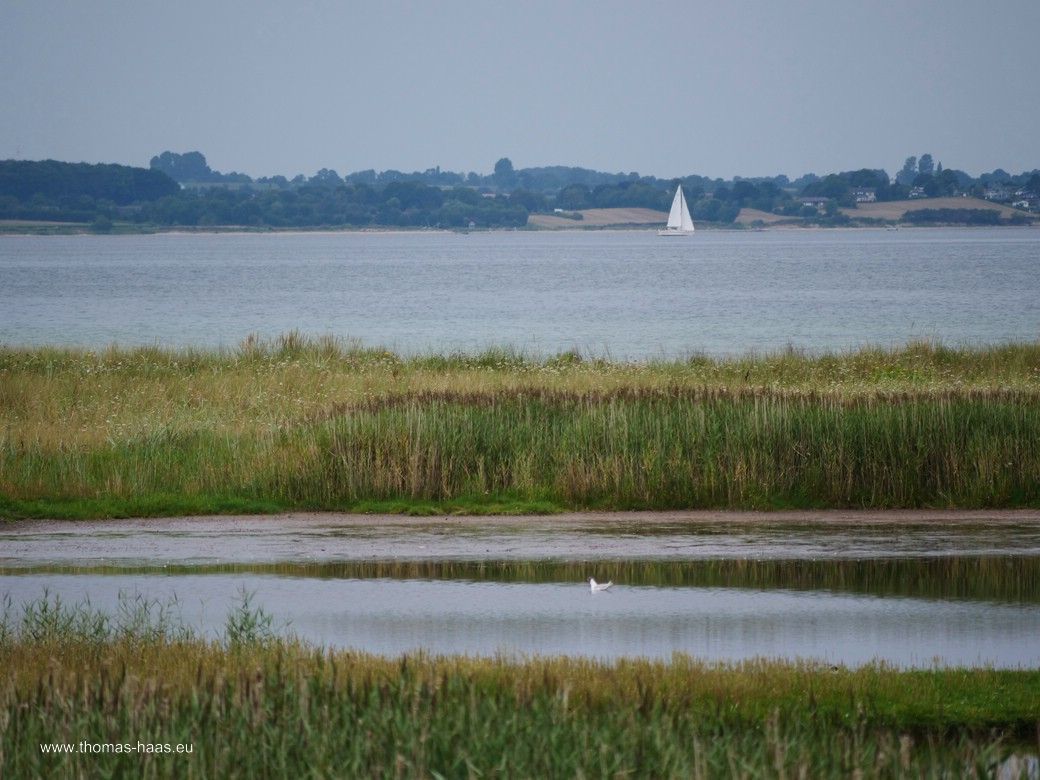 Tag 2: In der Geltinger Birk... Tag 2: In der Geltinger Birk...