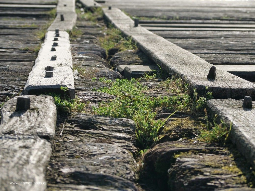 Haithabu, Anlegestelle bei den Museumshäusern, einst der Nabel der Wikinger-Welt... 2025