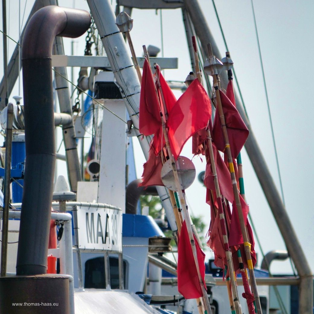 Im Fischereihafen von Maasholm, August 2025 Im Fischereihafen von Maasholm, August 2025