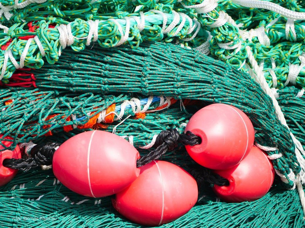 Tag 4: Maasholm... Tag 4: Maasholm...