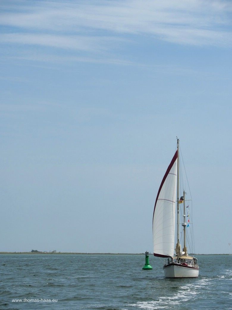 In der Maasholmer Breite misst die Schlei 4.000 m! In der Maasholmer Breite misst die Schlei 4.000 m!