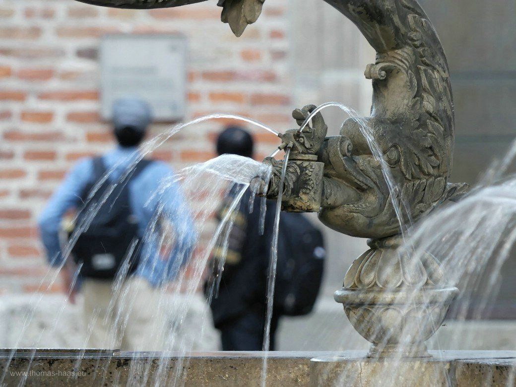 Die Ulmer Brunnentour - Touristen im Hintergrund des Delphinbrunnens, 2021 Die Ulmer Brunnentour - Touristen im Hintergrund des Delphinbrunnens, 2021
