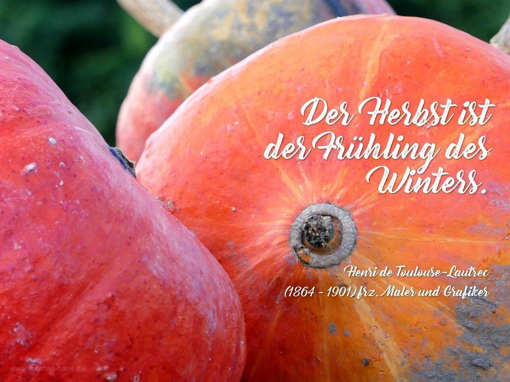 Kürbis mit einem Zitat, 2022 Motivationsbild für den Oktober 2022