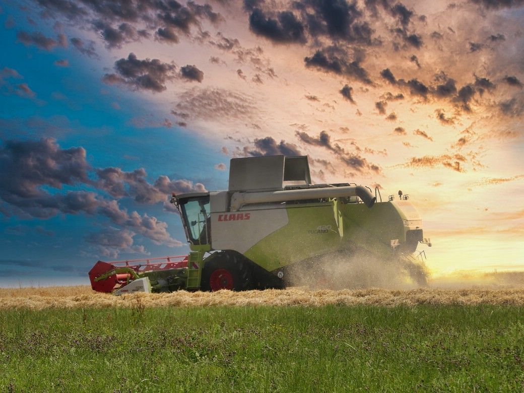 Mähdrescher auf dem Feld, starke Bearbeitung mit ausgetauschtem Himmel, 2023