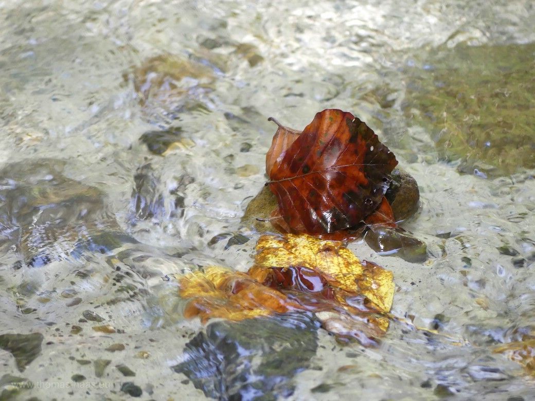 Kristallklar fließt der Hausbach in der Klamm, 2023 Kristallklares Wasser in der Hausbachklamm, 2023