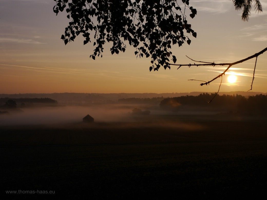 Frühnebel, die Sonne kommt gerade über den Horizont, es wird Tag über den Feldern um Weißenhorn, Oktober 2023