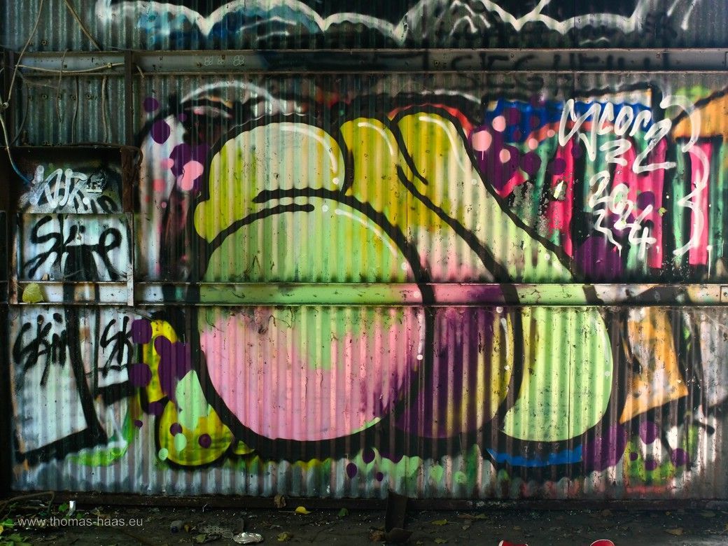 Graffiti, Lost Place in Burlafingen, 2024 Graffiti, Lost Place in Burlafingen, 2024