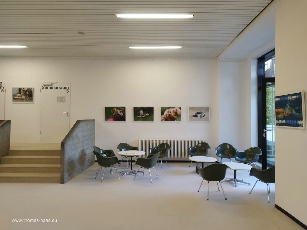 Ausstellung in der vh Ulm, Oktober 2025 Ausstellung in der vh Ulm, Oktober 2025