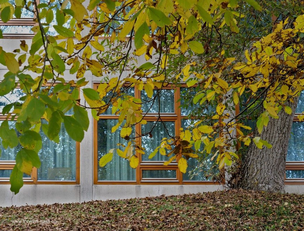 Tag HfG Ulm - Hochschule für Gestaltung, Fassade und viel Grün! HfG Ulm - Hochschule für Gestaltung,
Fassade und viel Grün!