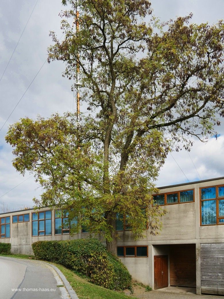 Beton, Glas, Holz - Fassade, HfG, Oktober 2025 - Mit freundlicher Genehmigung der Stiftung HfG, Ulm Beton, Glas, Holz - Fassade, HfG, Oktober 2025 - Mit freundlicher Genehmigung der Stiftung HfG, Ulm