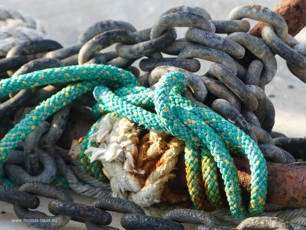 Kappeln, im Fischereihafen, August 2025 Kappeln, im Fischereihafen, August 2025