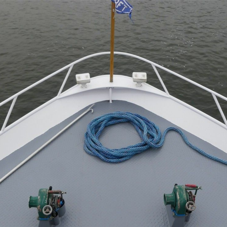 Bug der „Donauprinzessin“... Bug der „Donauprinzessin“...