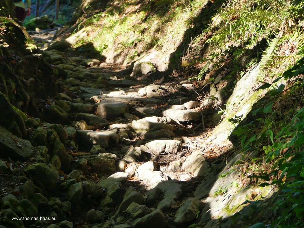 Diese Wegstrecke wird als Hohlweg bezeichnet... Diese Wegstrecke wird als Hohlweg bezeichnet...