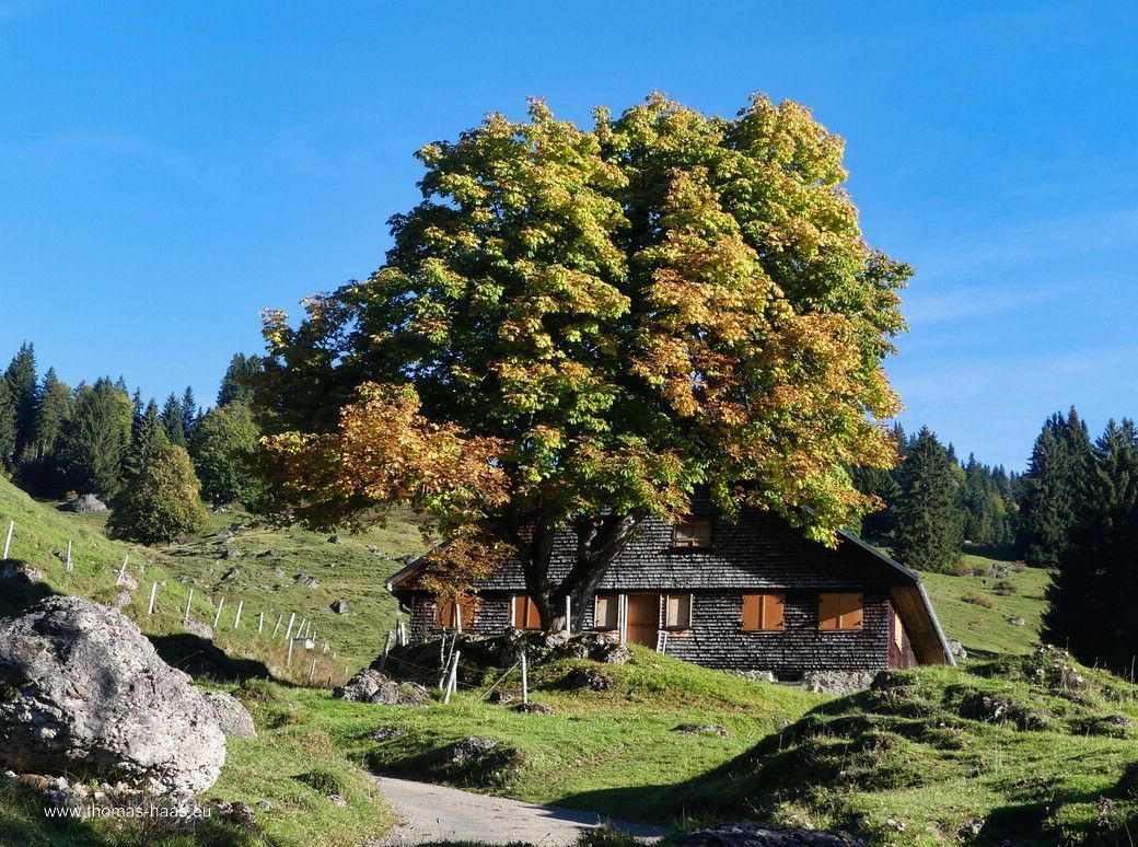 ...und die Alm ist schon in der Winterpause! ...und die Alm ist schon in der Winterpause!