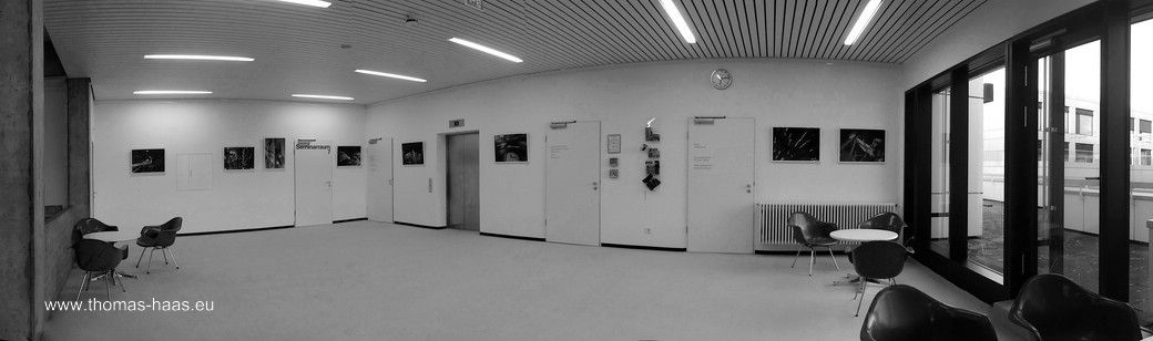 Die Ausstellung läuft! (Bis 14.11.2025) Die Ausstellung läuft! (Bis 14.11.2025)